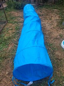 dog tunnel