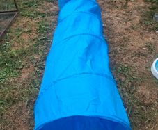 dog tunnel