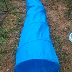 dog tunnel
