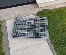 Dog Cage