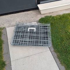 Dog Cage