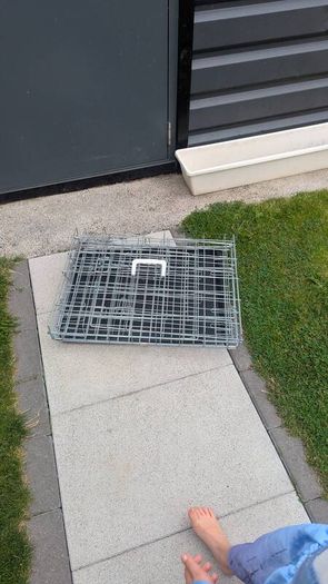 Dog Cage