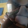 Joie iSpin 360 Image 2