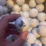 60 proV1 golf balls Image 8