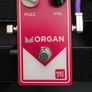 Morgan Amps NKT275 Fuzz Pedal Image 2