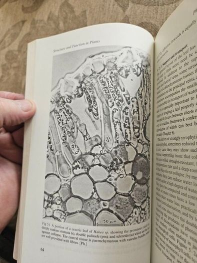The Working Plant. By D.a. Coult. 1977 Paperback In Good Condition. See Photos For Same.