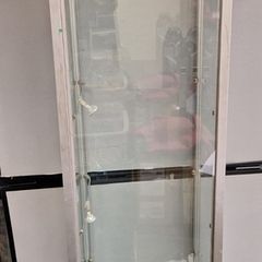 Glass Cabinet with Lights