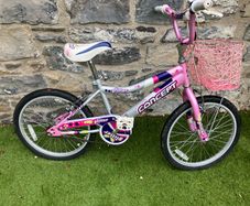 kids bike with basket 20 inch