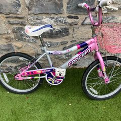 kids bike with basket 20 inch