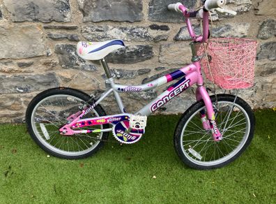 kids bike with basket 20 inch
