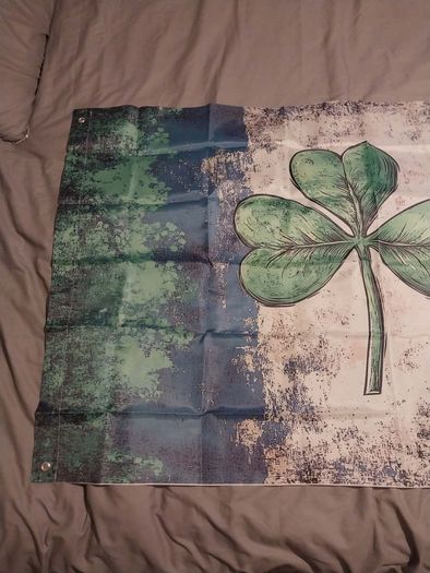 Katie Taylor 5x3 ft ireland flag for the fight