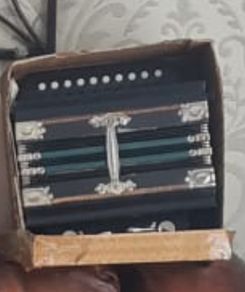 Vintage Accordions prices on request