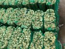 firewood Image 10
