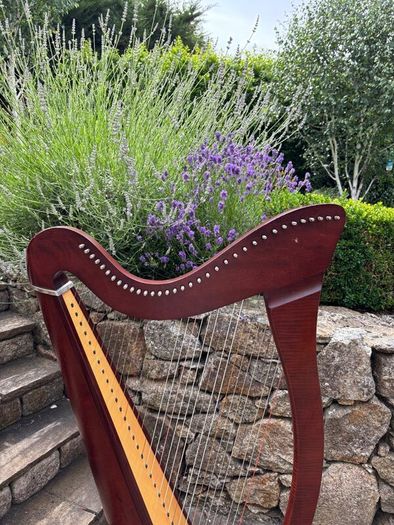 Harp