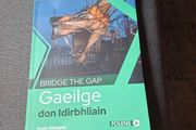 Bridge the Gap- Transition year Irish book