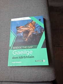 Bridge the Gap- Transition year Irish book