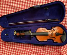 violin