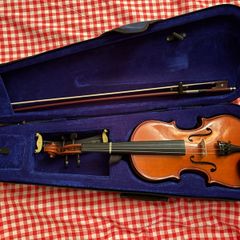 violin