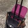 lightweight buggy great for plane Image 3