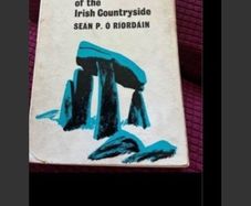 Antiquities of Irish Countryside