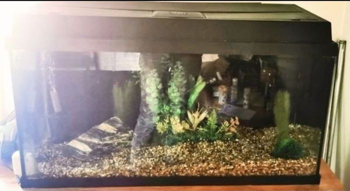 juwel fish tank