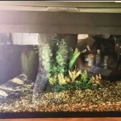 juwel fish tank