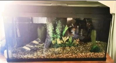juwel fish tank
