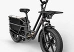 FIIDO T2 Longtail Cargo Electric Bike