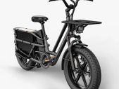 FIIDO T2 Longtail Cargo Electric Bike