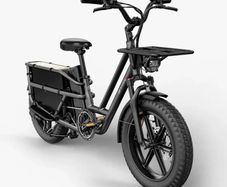FIIDO T2 Longtail Cargo Electric Bike