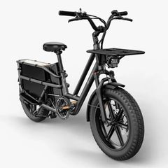 FIIDO T2 Longtail Cargo Electric Bike