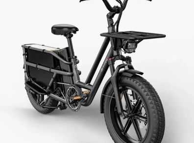 FIIDO T2 Longtail Cargo Electric Bike