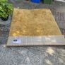 free rug Image 3