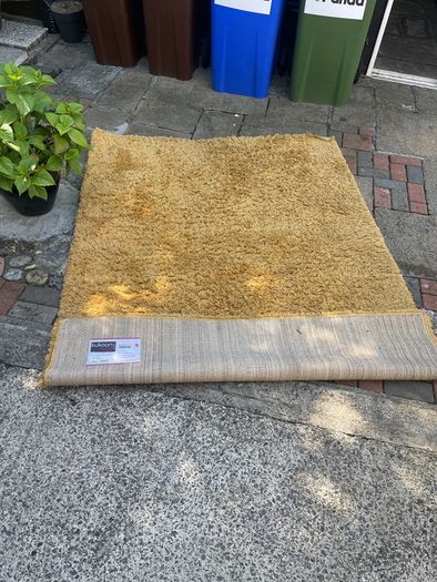 free rug