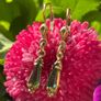 Antique Earrings Image 6