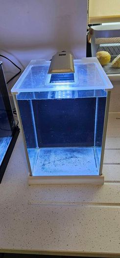 Fluval spec (White)