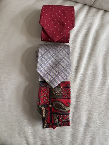 Men's Ties Bundle