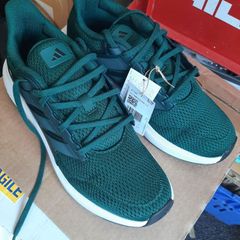 trainers