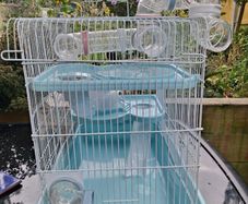 Hamster/small rodent cage