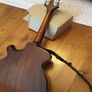 Mandolin Image 5