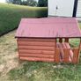 dog house Image 3