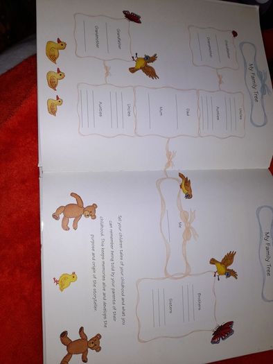 Baby record book