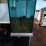aquarium fish tank Image 2