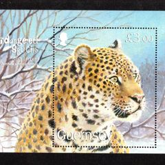 2012 Guernsey Endangered Species featuring Bengal Tiger Commemorative Stamp Miniature Sheet Mint Never Hinged (MNH)