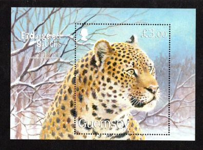 2012 Guernsey Endangered Species featuring Bengal Tiger Commemorative Stamp Miniature Sheet Mint Never Hinged (MNH)