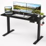 Electric Height Adjustable Standing Desk Sit Stand Desk with Whole Board for Home Working Image 3
