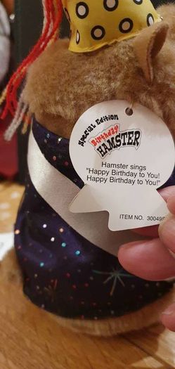 Happy Birthday Hamster