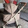 dog,cat  buggy Image 2