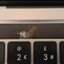 M1 MacBook Pro Image 2
