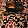 Gabor Shoes size EU-40, UK-6,5 Image 7